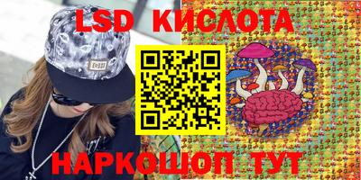 мдпв Донецк