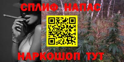 мдпв Донецк