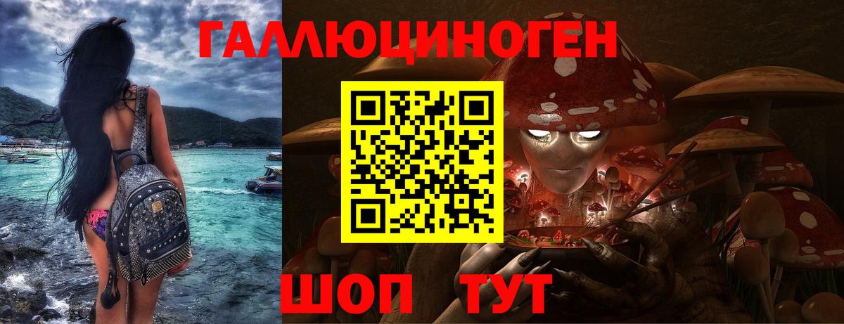 Псилоцибиновые грибы Psilocybe  Галлюциногенные грибы мицелий  Самара  купить закладку  Вход с VPN 